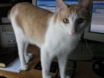 July_2007_009.jpg