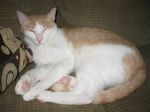June_2007_007.jpg
