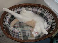 IMG 0797